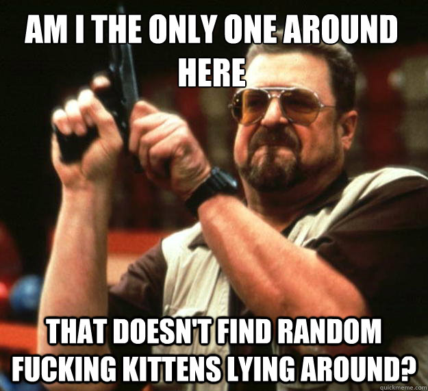 Am I the only one around here That doesn't find random fucking kittens lying around?  Walter