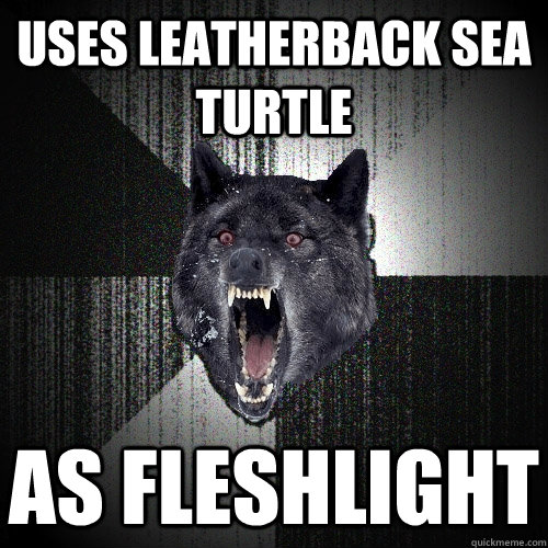 USES LEATHERBACK SEA TURTLE AS FLESHLIGHT  Insanity Wolf