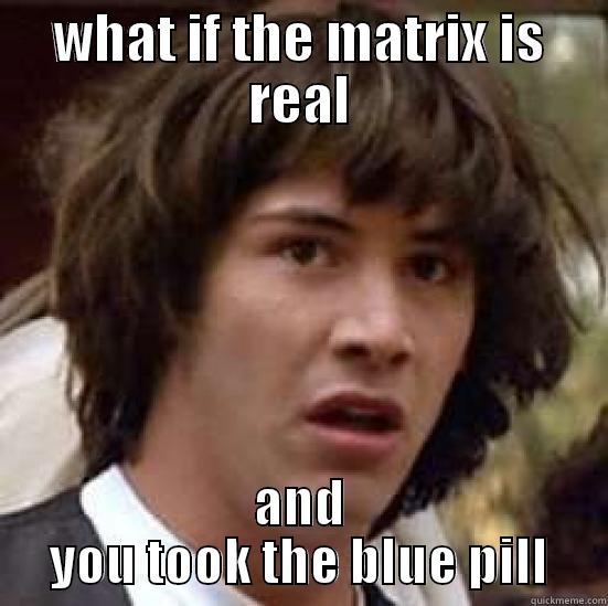 WHAT IF THE MATRIX IS REAL AND YOU TOOK THE BLUE PILL conspiracy keanu