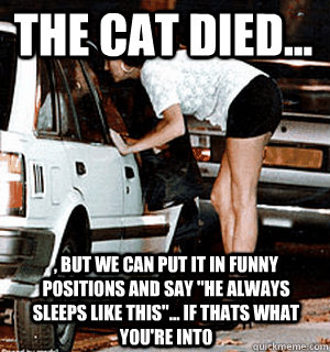 The cat died... , but we can put it in funny positions and say 