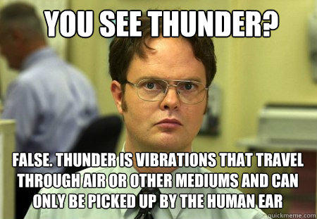 you see thunder? false. thunder is vibrations that travel through air or other mediums and can only be picked up by the human ear  Schrute