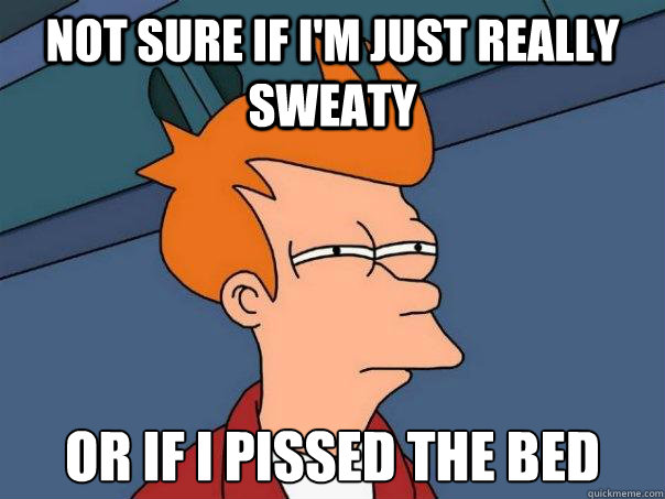 Not sure if i'm just really sweaty or if i pissed the bed  Futurama Fry
