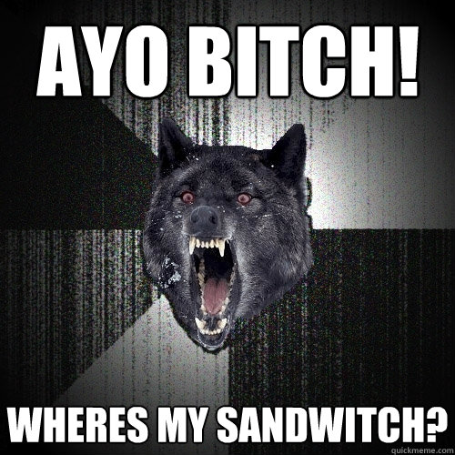 ayo bitch! wheres my sandwitch?  Insanity Wolf