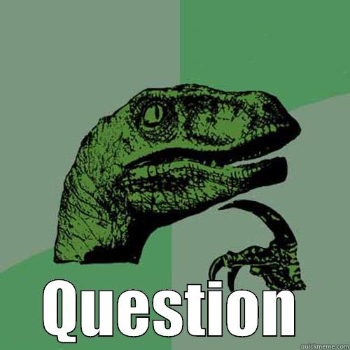  QUESTION Philosoraptor