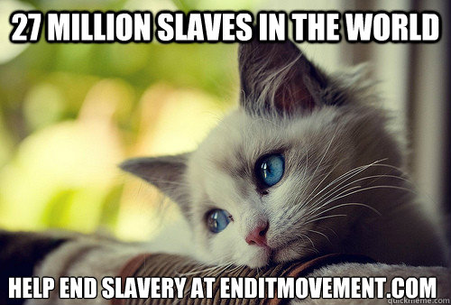 27 million slaves in the world help end slavery at enditmovement.com - 27 million slaves in the world help end slavery at enditmovement.com  First World Problems Cat