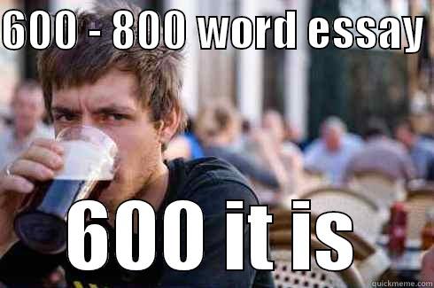 600 - 800 WORD ESSAY  600 IT IS Lazy College Senior