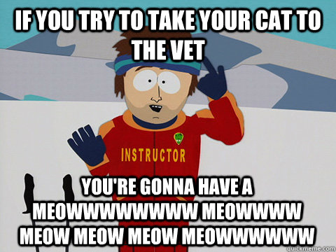If you try to take your cat to the vet you're gonna have a MEOWWWWWWWW MEOWWWW MEOW MEOW MEOW MEOWWWWWW  Youre gonna have a bad time