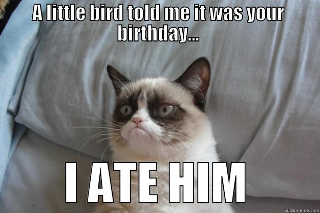 A LITTLE BIRD TOLD ME IT WAS YOUR BIRTHDAY... I ATE HIM Grumpy Cat