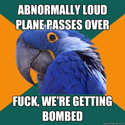 Abnormally loud plane passes over Fuck, we're getting bombed  Paranoid Parrot