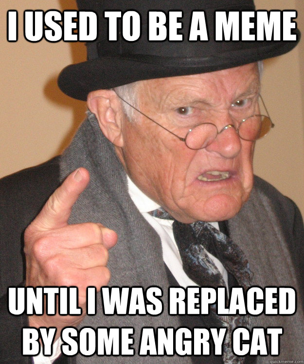 i used to be a meme until i was replaced by some angry cat  Angry Old Man