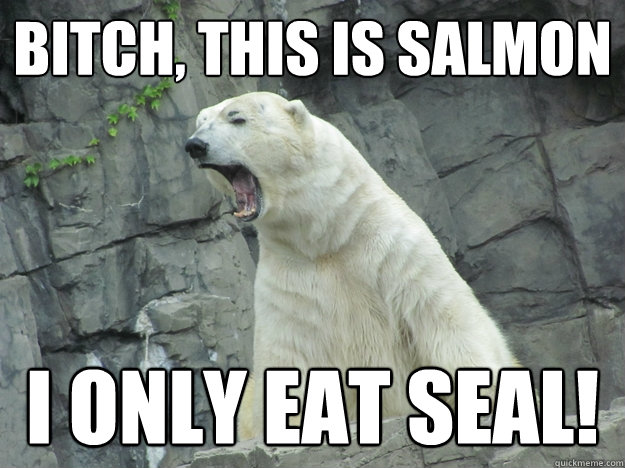 bitch, this is salmon i only eat seal! - bitch, this is salmon i only eat seal!  Pissed Off Polar Bear