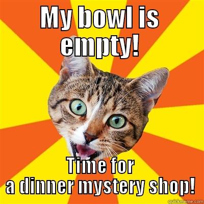 MY BOWL IS EMPTY! TIME FOR A DINNER MYSTERY SHOP! Bad Advice Cat