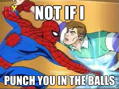 NOT IF I PUNCH YOU IN THE BALLS  Spiderman