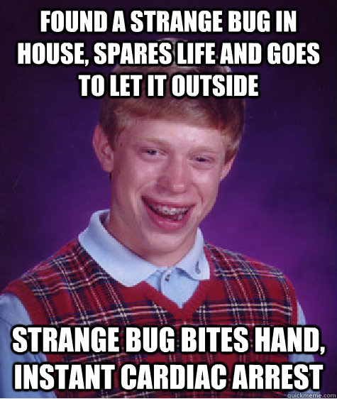 found a strange bug in house, spares life and goes to let it outside strange bug bites hand, instant cardiac arrest  Bad Luck Brian