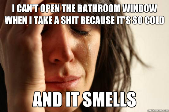 I can't open the bathroom window when i take a shit because it's so cold and it smells  First World Problems