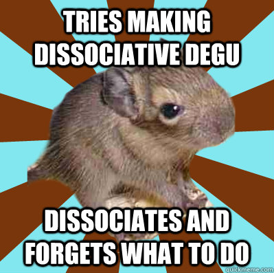 Tries making dissociative degu dissociates and forgets what to do  