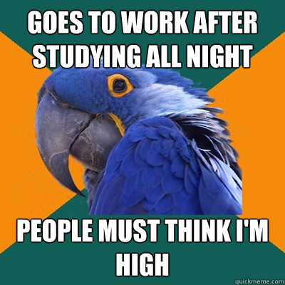 goes to work after studying all night people must think I'm high  Paranoid Parrot