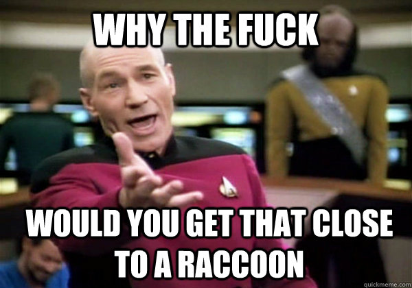 why the fuck would you get that close to a raccoon  Patrick Stewart WTF