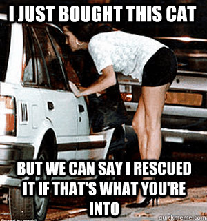 I just bought this cat  But we can say I rescued it if that's what you're into  Karma Whore