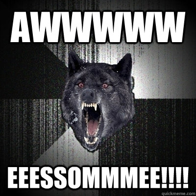 AWWWWW EEESSOMMMEE!!!!  Bullets - Insanity wolf