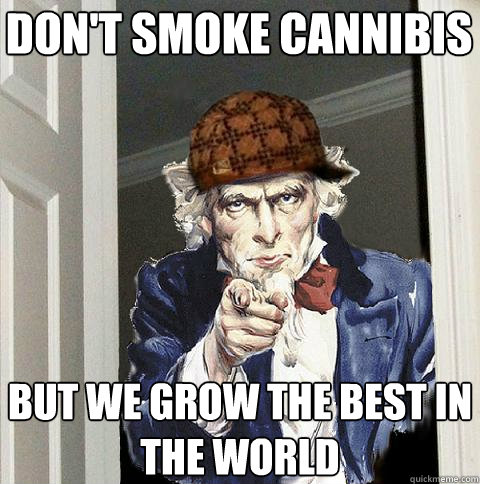 don't smoke cannibis But we grow the best in the world  Scumbag Uncle Sam