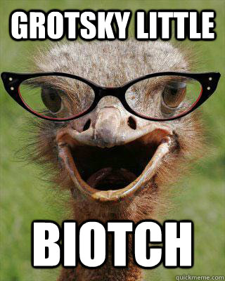 Grotsky Little Biotch  Judgmental Bookseller Ostrich