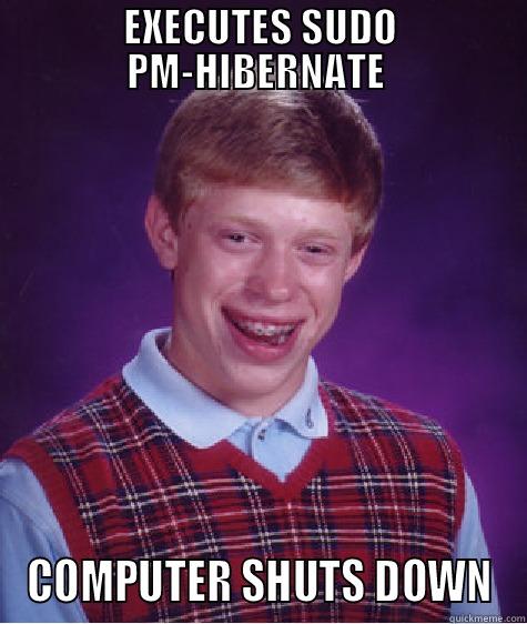 EXECUTES SUDO PM-HIBERNATE  COMPUTER SHUTS DOWN Bad Luck Brian