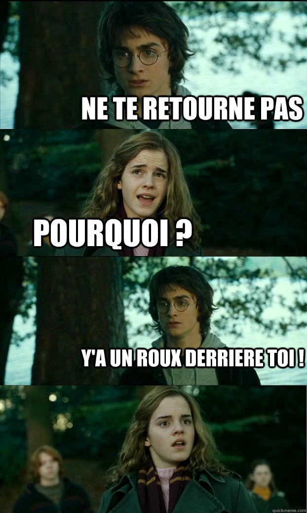 Ne te retourne pas  pourquoi ? Y'a un roux derriere toi !  Horny Harry