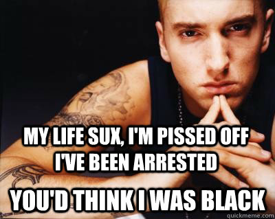 My Life sux, I'm pissed off I've been arrested You'd think I was Black  rap music eminem