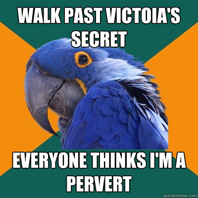 Walk past victoia's secret everyone thinks i'm a pervert  Paranoid Parrot