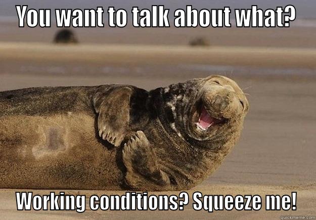 You want to talk about... - YOU WANT TO TALK ABOUT WHAT? WORKING CONDITIONS? SQUEEZE ME! Sea Lion Brian