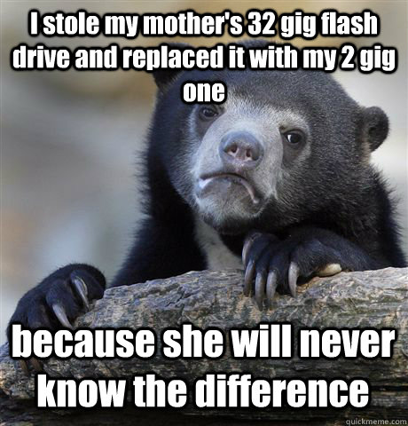 I stole my mother's 32 gig flash drive and replaced it with my 2 gig one because she will never know the difference - I stole my mother's 32 gig flash drive and replaced it with my 2 gig one because she will never know the difference  Confession Bear