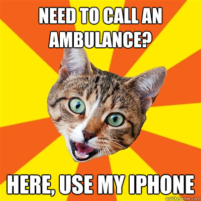 Need to call an ambulance? Here, use my iPhone - Need to call an ambulance? Here, use my iPhone  Bad Advice Cat