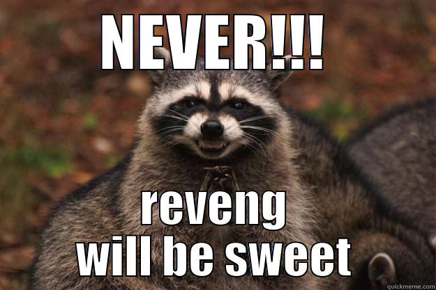 NEVER!!! REVENG WILL BE SWEET Evil Plotting Raccoon