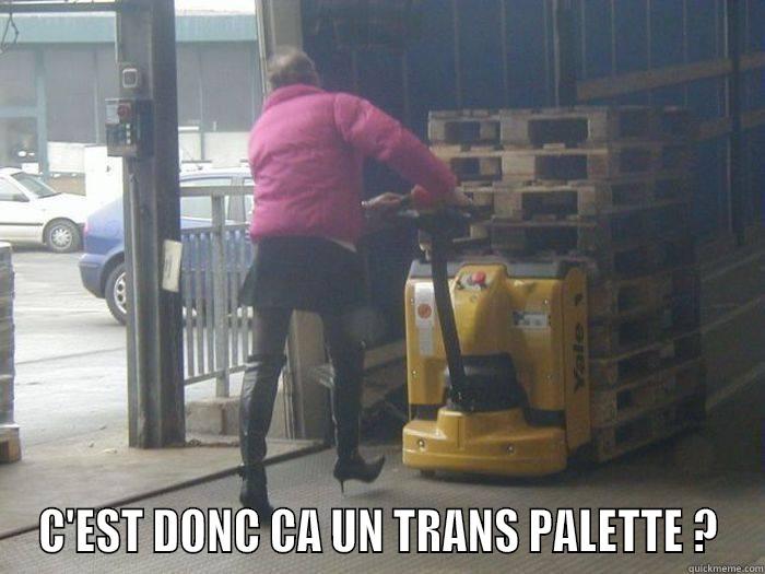  C'EST DONC CA UN TRANS PALETTE ? Misc