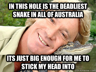 In this hole is the deadliest snake in all of australia its just big enough for me to stick my head into - In this hole is the deadliest snake in all of australia its just big enough for me to stick my head into  Brave Steve