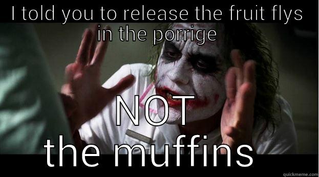 Why SO serious?  - I TOLD YOU TO RELEASE THE FRUIT FLYS IN THE PORRIGE NOT THE MUFFINS  Joker Mind Loss