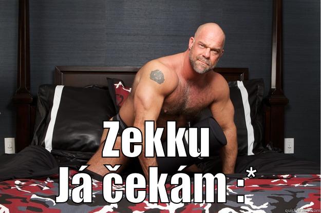  ZEKKU JÁ ČEKÁM :* Gorilla Man