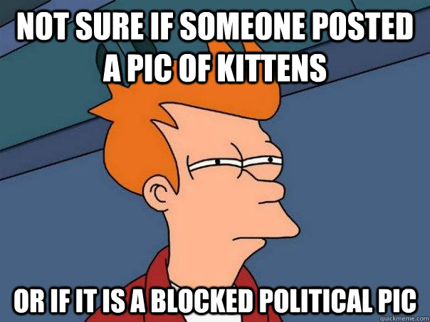 not sure if someone posted a pic of kittens or if it is a blocked political pic  Futurama Fry