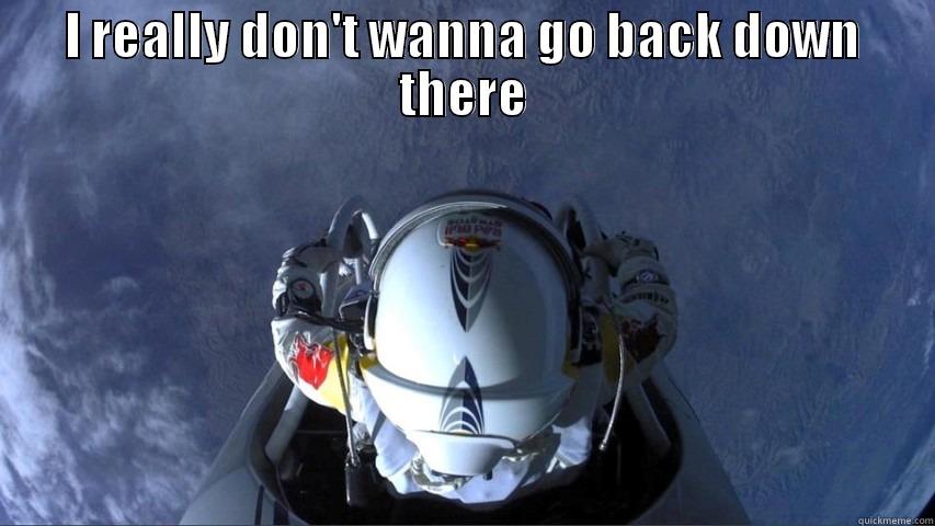 I REALLY DON'T WANNA GO BACK DOWN THERE  Misc