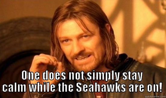  ONE DOES NOT SIMPLY STAY CALM WHILE THE SEAHAWKS ARE ON! Boromir