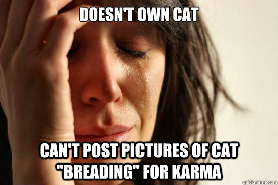 doesn't own cat can't post pictures of cat 