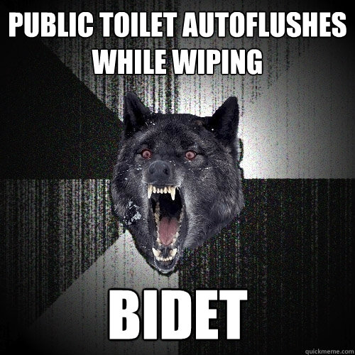 Public Toilet autoflushes while wiping bidet  Insanity Wolf