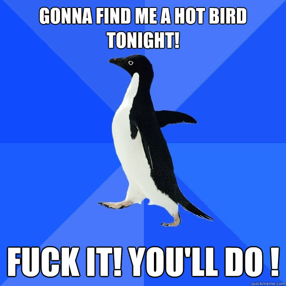 Gonna find me a hot bird tonight! Fuck it! You'll do !  Socially Awkward Penguin