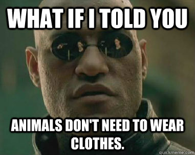 what if i told you Animals don't need to wear clothes.  