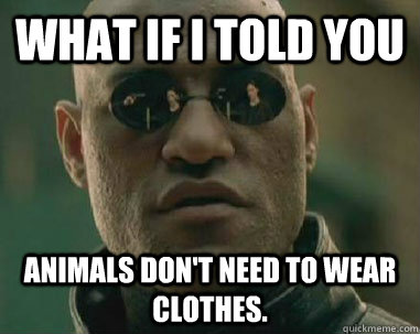 what if i told you Animals don't need to wear clothes.  what if i told you fox news lies