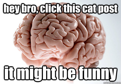 hey bro, click this cat post it might be funny - hey bro, click this cat post it might be funny  Scumbag Brain