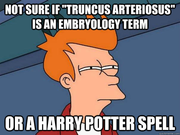 Not sure if 
