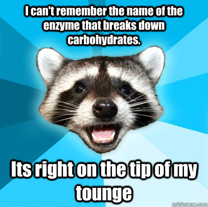 I can't remember the name of the enzyme that breaks down carbohydrates. Its right on the tip of my tounge   Lame Pun Coon