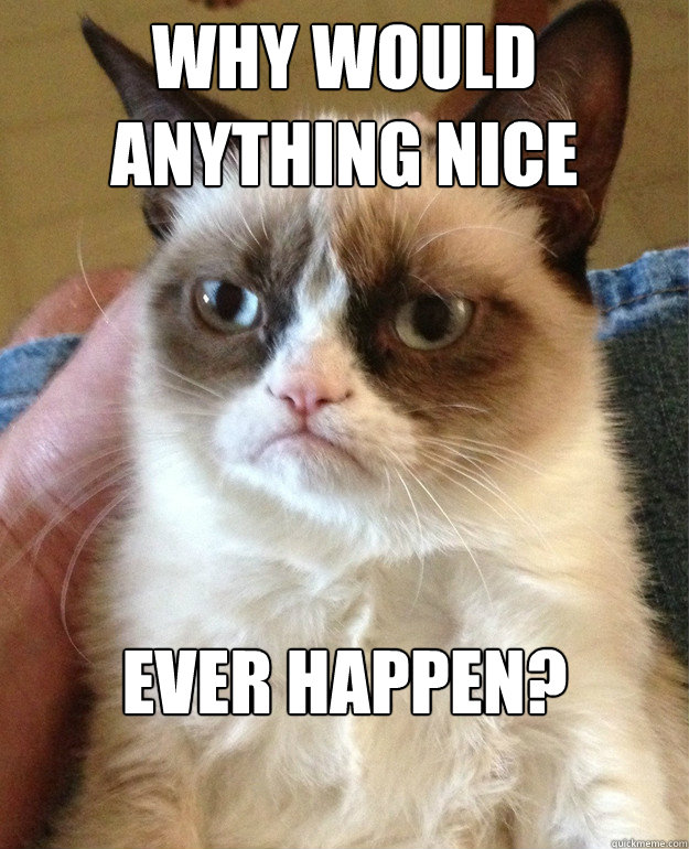 why would anything nice ever happen?  Grumpy Cat